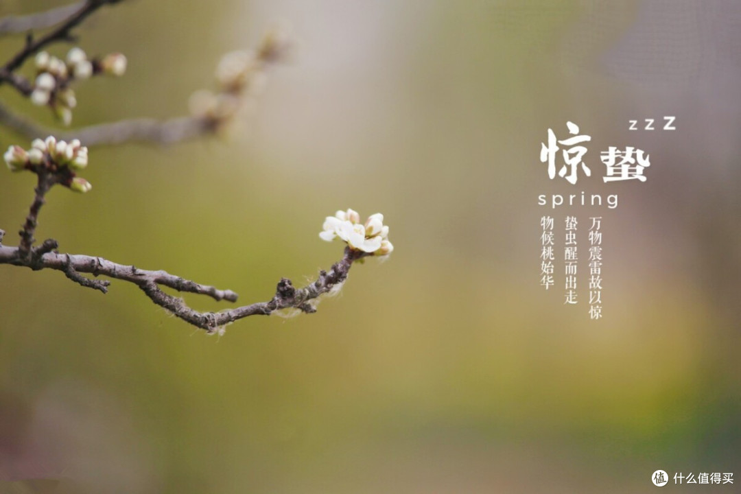 明日惊蛰,老传统:吃1果,做2事,忌1样,民俗习惯别忘了