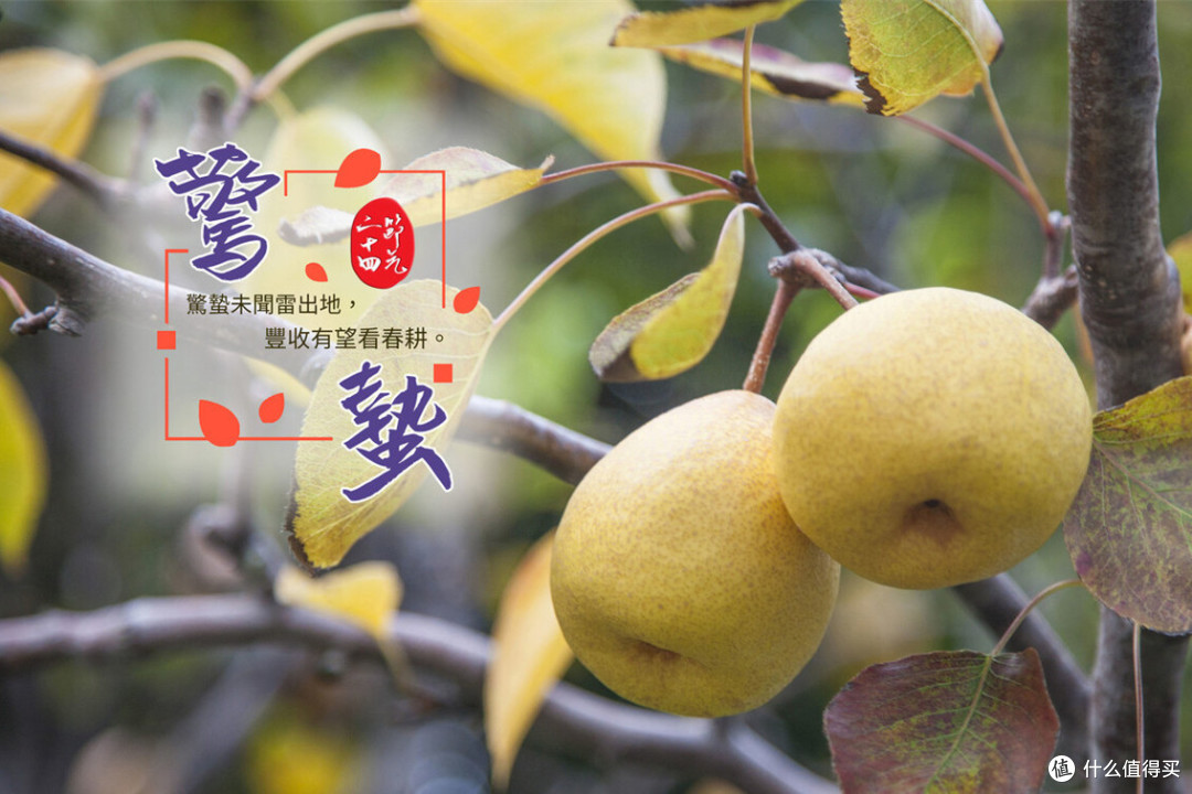 明日惊蛰,老传统:吃1果,做2事,忌1样,民俗习惯别忘了
