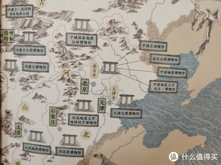 第一次发现，恐龙科普书竟然还可以这样写——《中国恐龙地图》