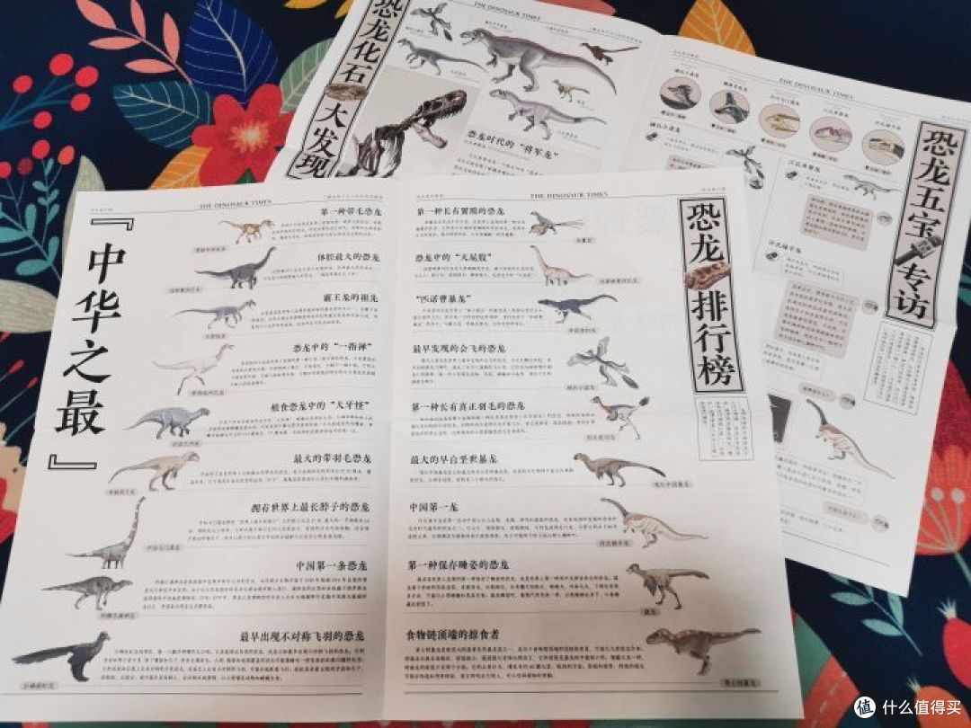 第一次发现，恐龙科普书竟然还可以这样写——《中国恐龙地图》