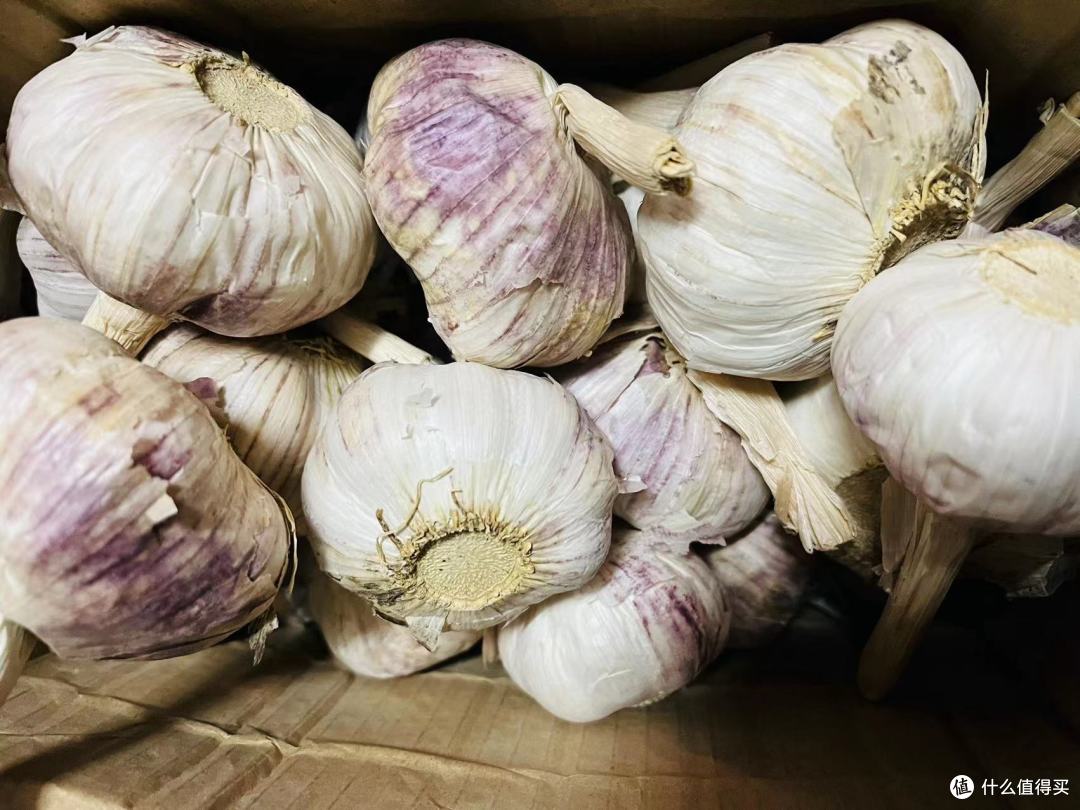 买了啥?分享最近入手的几件物品以及使用心得~