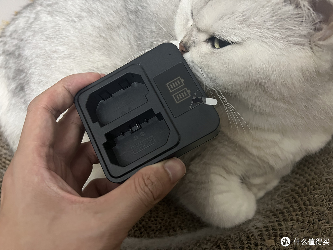 这款充电器解决了我之前换电池的烦恼,一次充两,值!!!