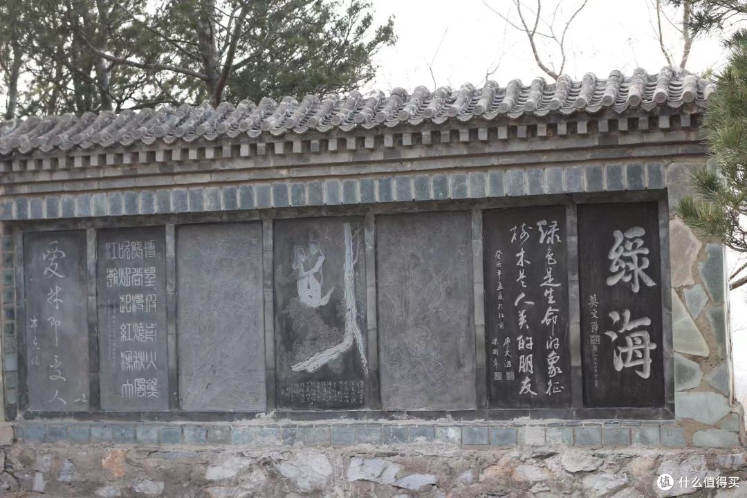 减脂健身爬山观景,咦?这是个什么东西?谁认识?