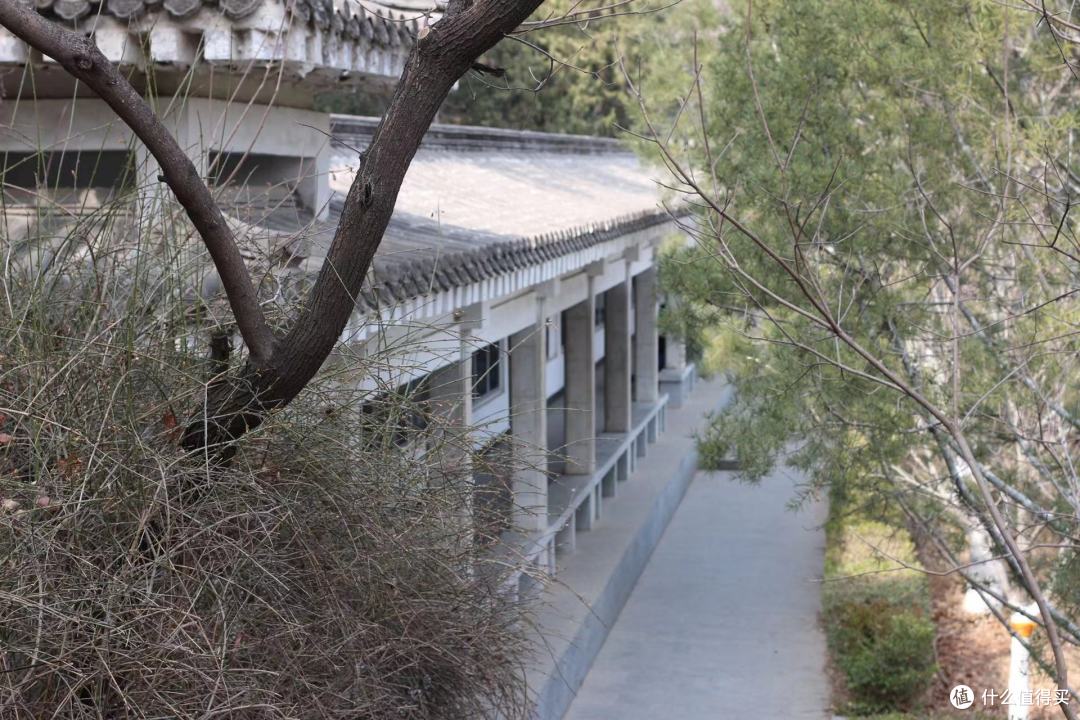 迟日江山丽，春风花草香~春日游园观山看景~