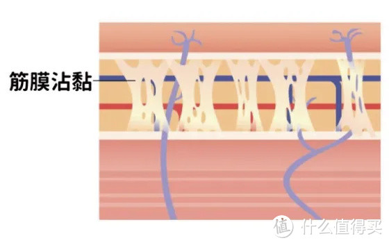 2023筋膜枪怎么挑选？|mini筋膜枪和大枪有什么区别？|3款gao性价比筋膜枪测评对比