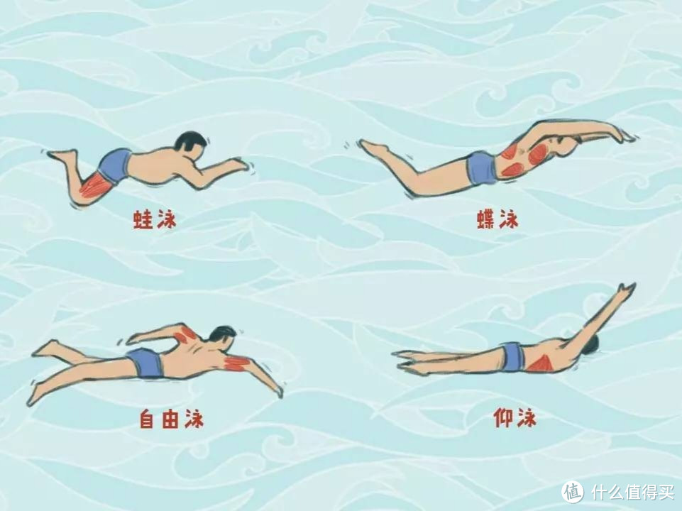 减脂的一百种方式之——游泳2四种泳姿的选择