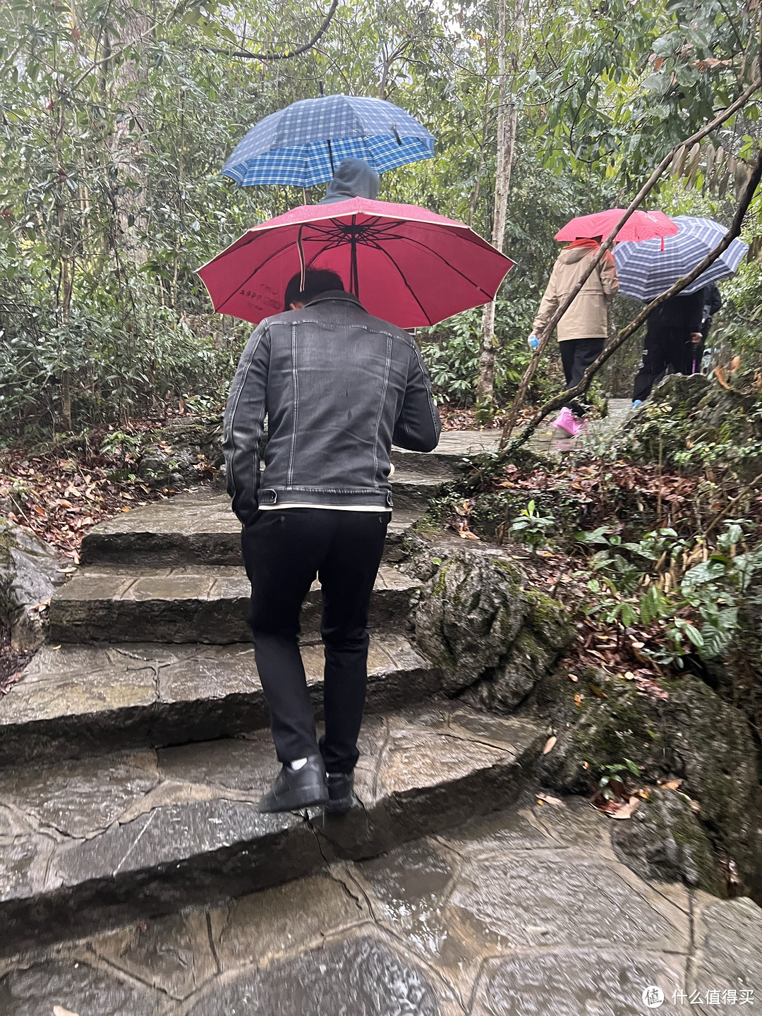 雨中山间徒步，这个应该很减肥