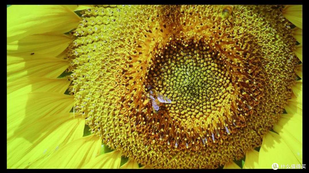 超越“中杯”的实力表现 索尼VPL-XW7000激光4K家用投影机详测