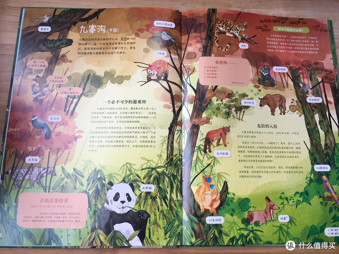 植树节看《世界森林地图》:生态教育、环境教育的好读本