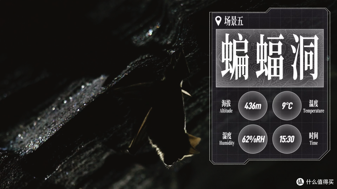 荒野求生:六大旗舰手机信号横评