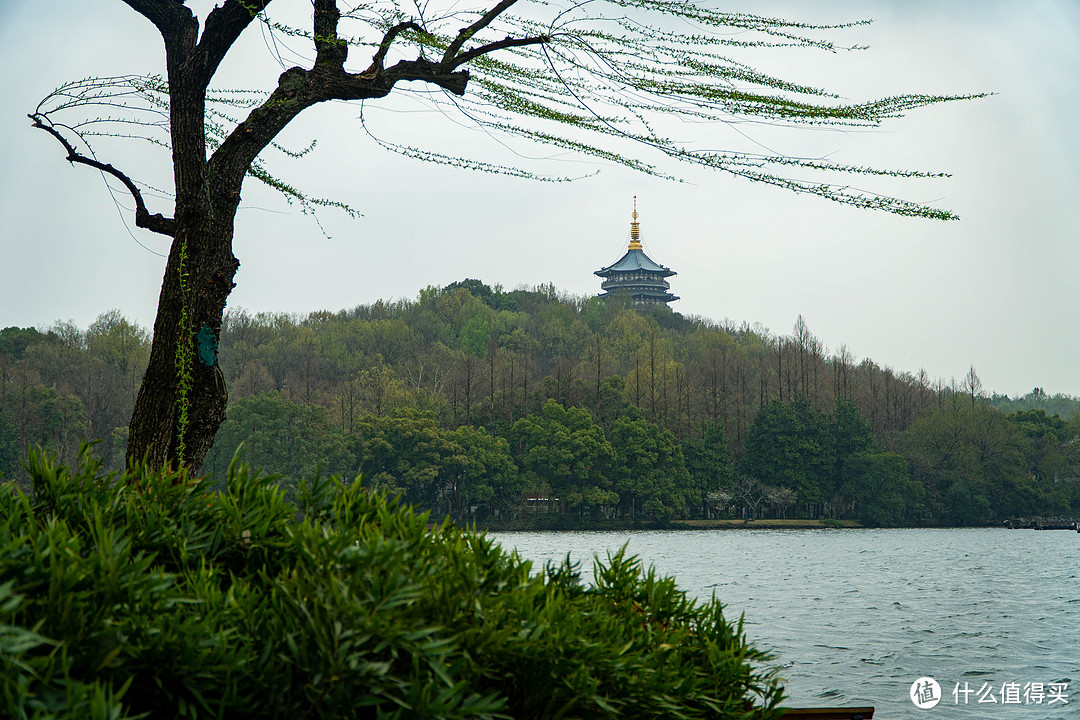 杭州西湖太子湾——初春亲子游记录