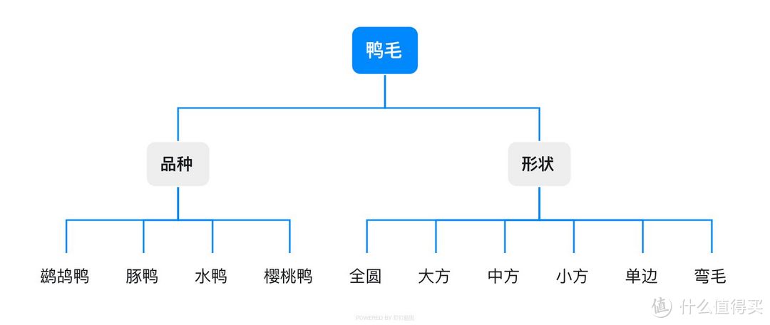 用我10年+羽球经验告诉你，选对羽毛球是个学问（4千字选购经验让你买对）