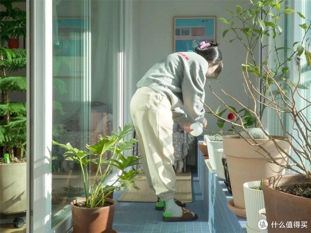 34岁韩国太太的家，全屋一尘不染，阳台上种花种菜，好治愈
