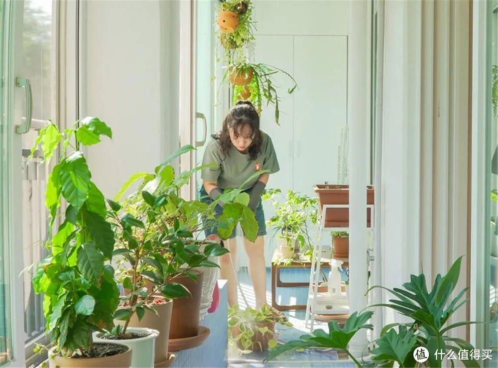 34岁韩国太太的家，全屋一尘不染，阳台上种花种菜，好治愈