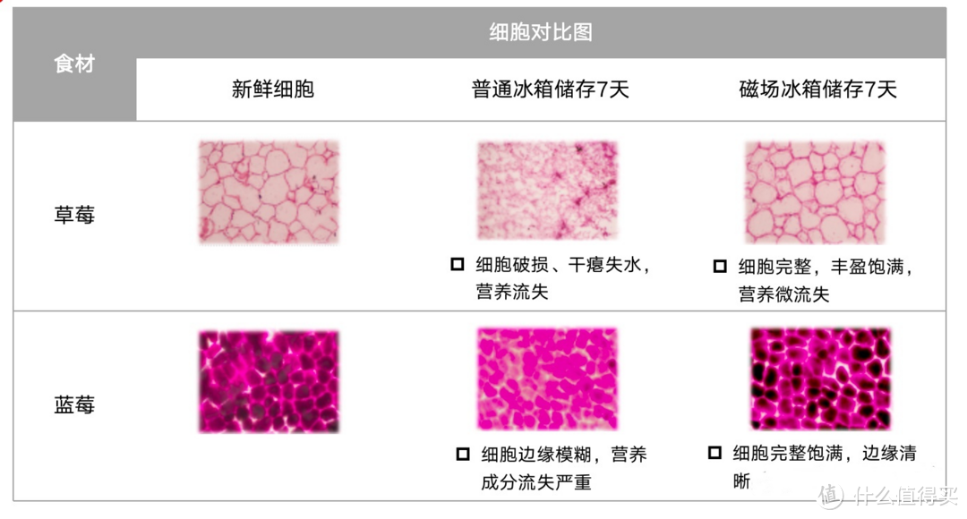  2023冰箱选购推荐｜TCL 冰箱保鲜效果究竟如何？TCL冰箱评测