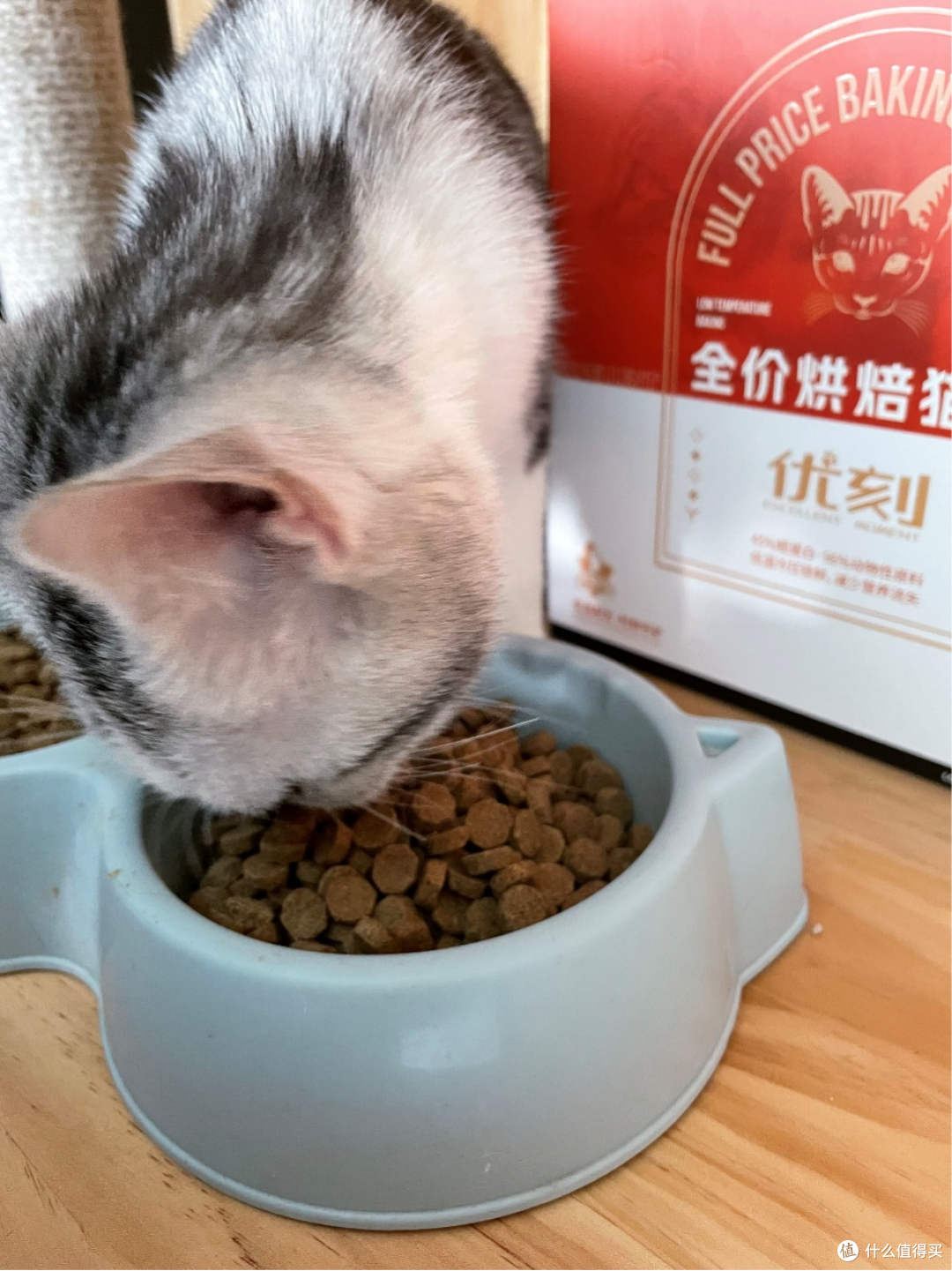 为啥猫咪光吃不长肉,你真的选对猫粮了吗?