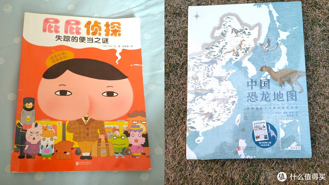 孩子阅读培养：播种就从孩子爱看的书开始，请给恐龙爱好者收到下这本《中国恐龙地图》