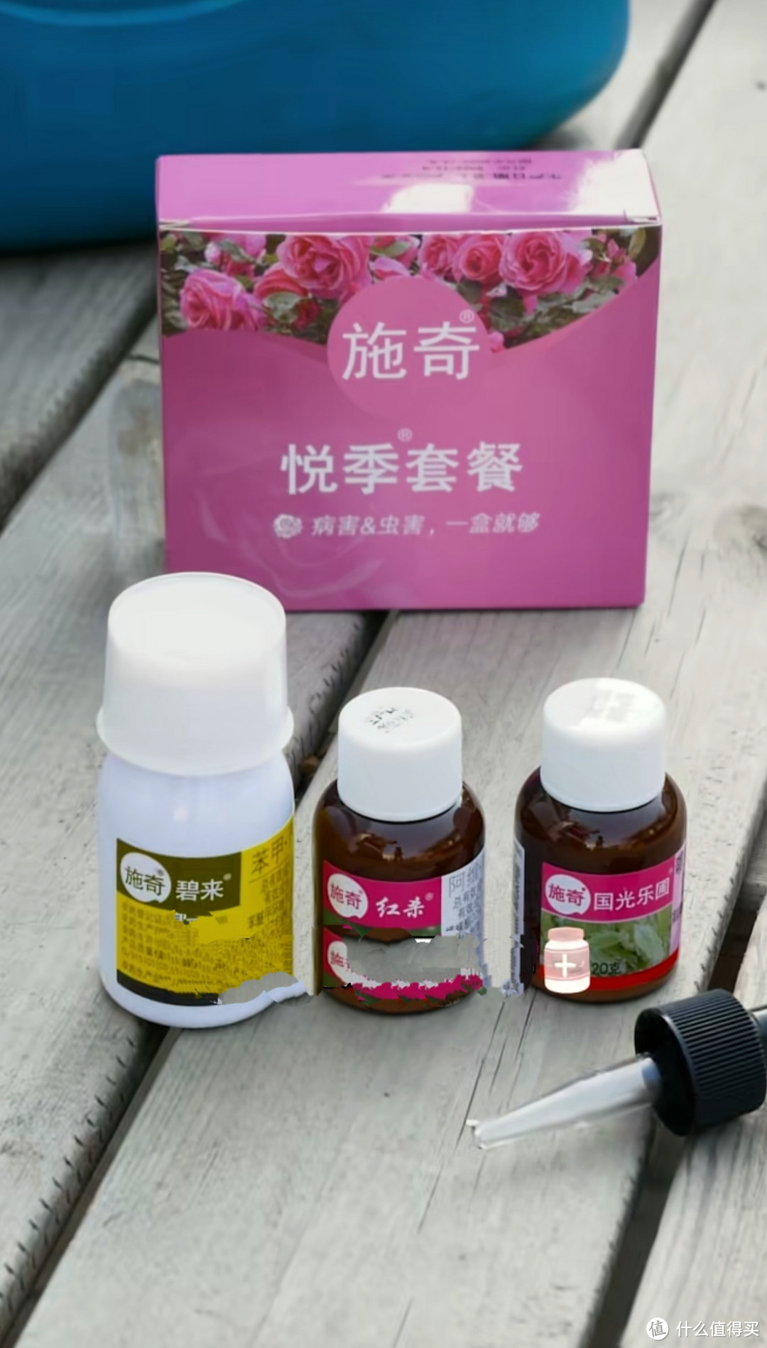 春光灿烂，花团锦簇，月季病虫防治怎么做？