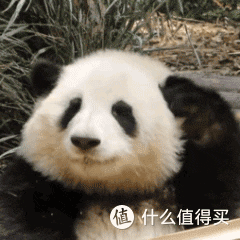 看了百度文心一言发布会,我想说What's your problem?