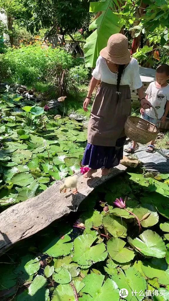 重庆一37岁姐姐火了，花园“美轮美奂”，犹如“童话世界”晒晒