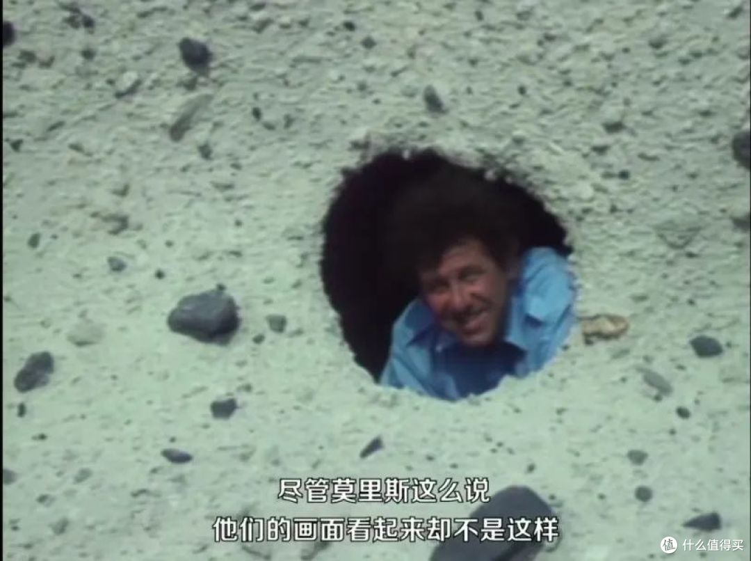 那对追寻火山的夫妇，做了世界上最浪漫的事