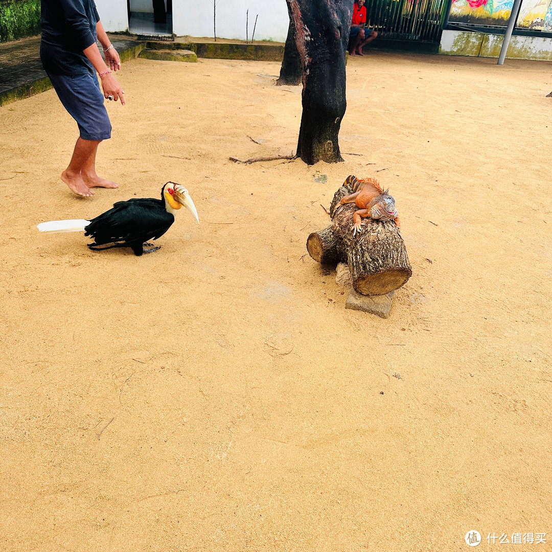 一个人的巴厘岛之旅，希望此生能成为大旅行家呀