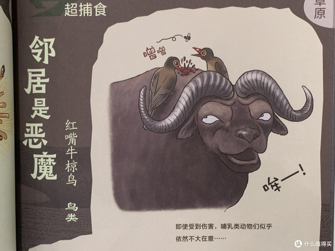 图书馆猿の2023读书计划18:《生物让人意外的超能力》