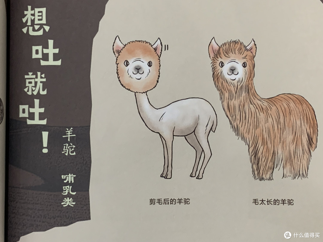 图书馆猿の2023读书计划18:《生物让人意外的超能力》
