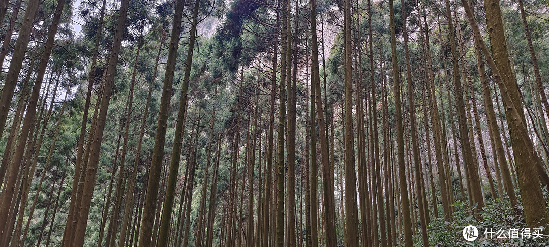 雁荡山-大龙湫游记/浙江温州乐清市雁荡山风景区/游玩攻略携程门票价格开放时间/世界地质公园