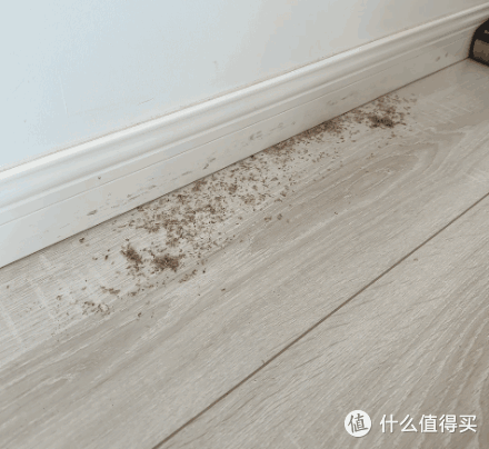 4D清洁、全屋覆盖的“小机皇”—追觅M13 Beta洗地机，演绎一机多能的生活多面手