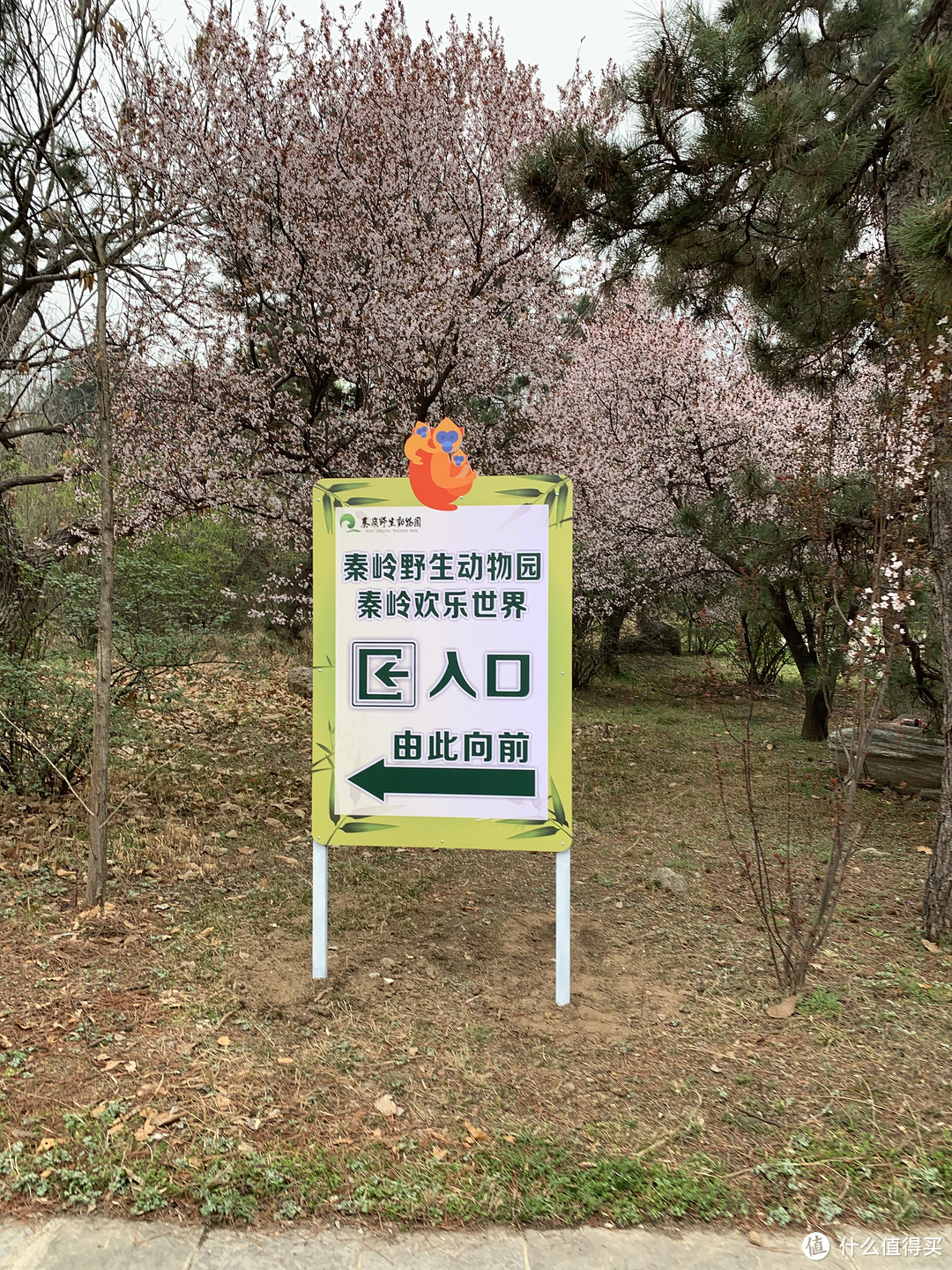 春日里的秦岭野生动物园🦓 游览攻略 