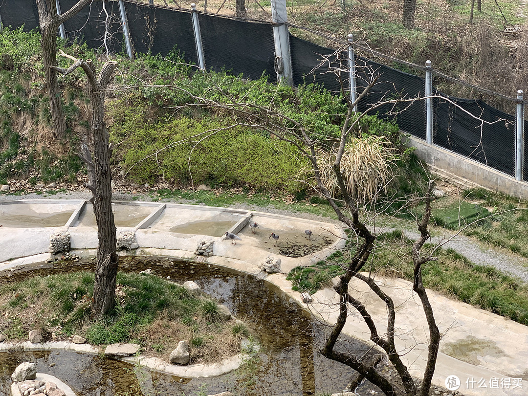 春日里的秦岭野生动物园🦓 游览攻略 