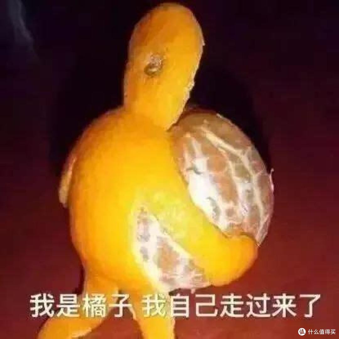 好久不见啊大家