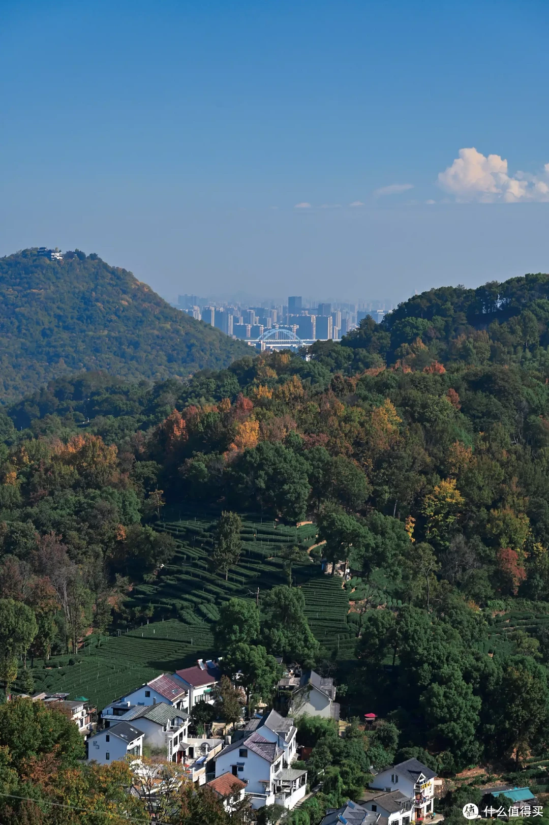 3月来浙江玩什么?这3座特色茶园必打卡,遇见江南大美春景