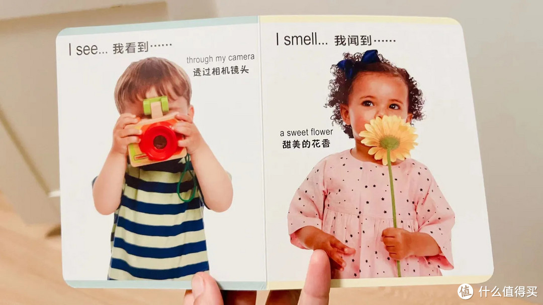 【推荐书单】2023年适合0-3岁幼儿的纸板启蒙书