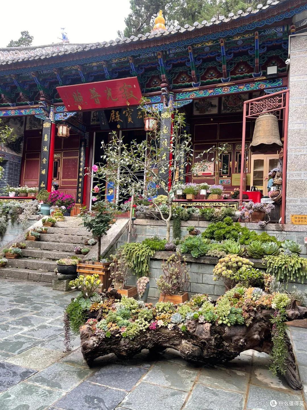 发现一个最美尼姑庵，种满各种花草，犹如“人间仙境”，晒晒