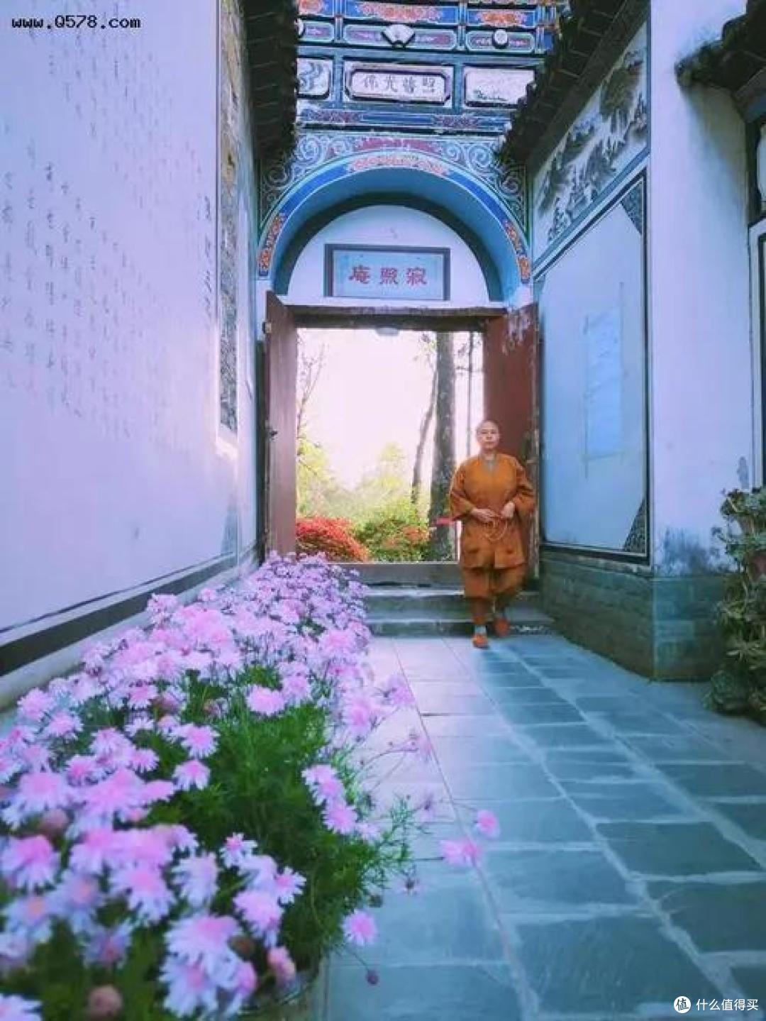 发现一个最美尼姑庵，种满各种花草，犹如“人间仙境”，晒晒