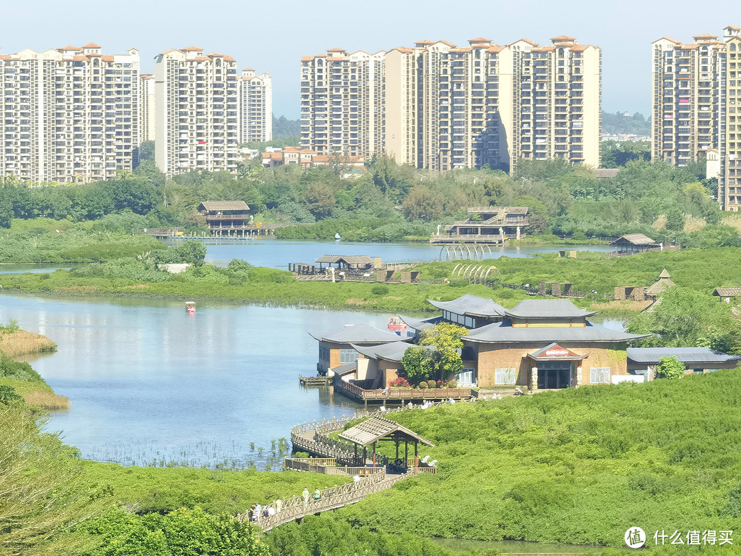 红树林、火烈鸟~海南长寿之乡的休闲放空之选 澄迈富力希尔顿逸林度假酒店