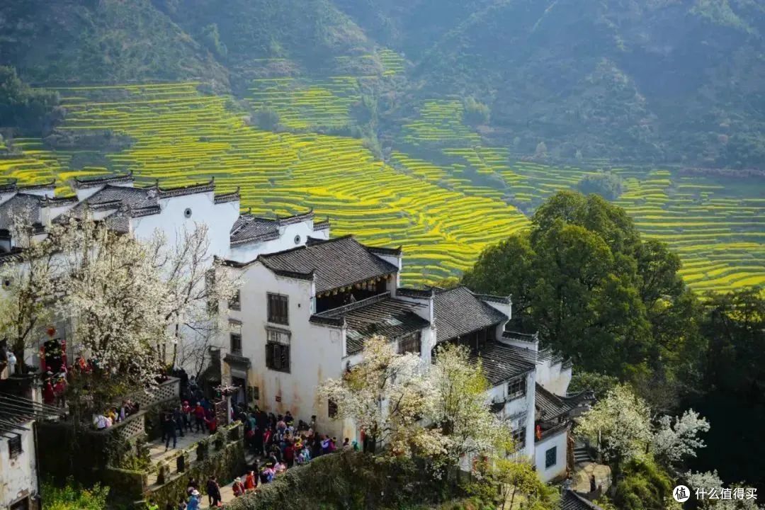春天最值得去的小城,怎么能落下她啊。