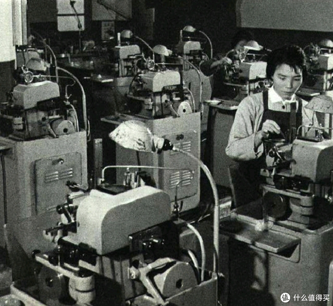 国表海鸥的历史,简介