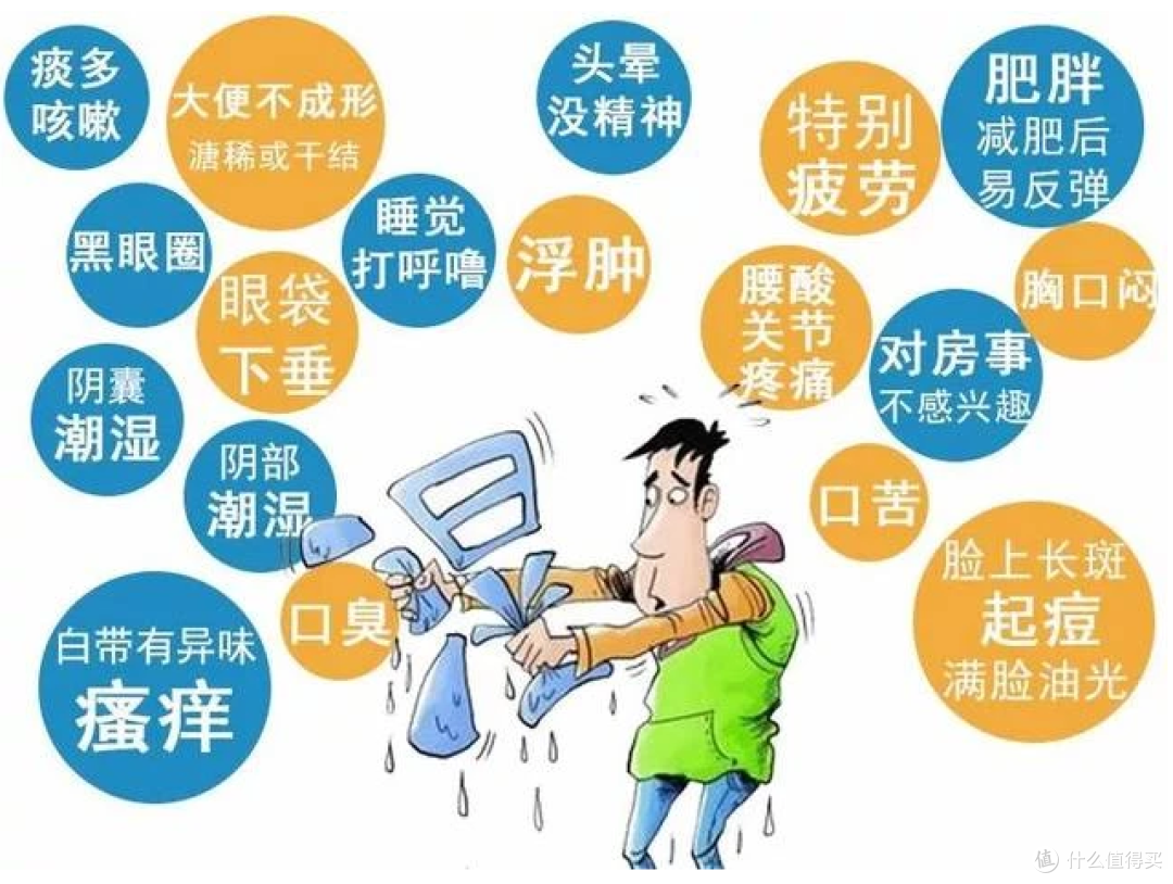 家里潮湿的进来看!除湿机到底有没有必要买?