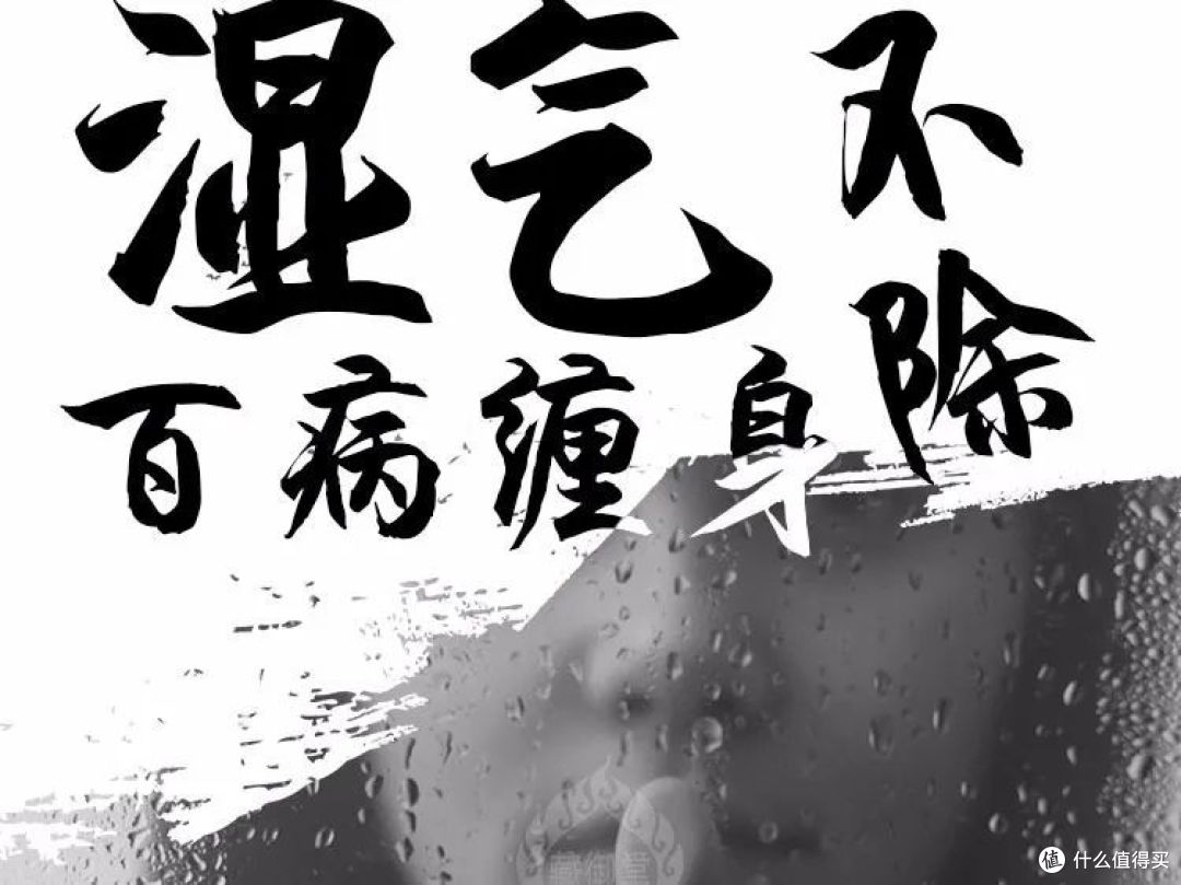 家里潮湿的进来看!除湿机到底有没有必要买?