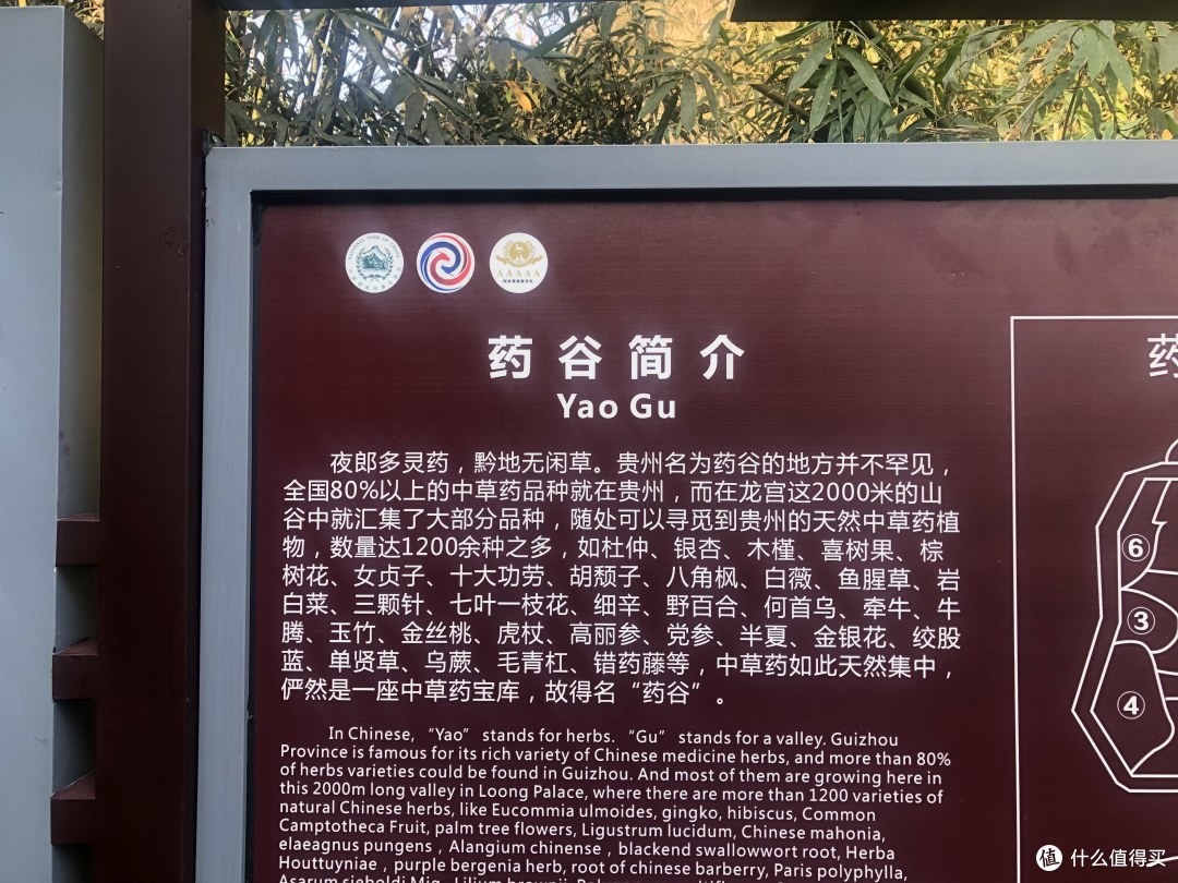 “黔地无闲草,龙宫多灵药。”