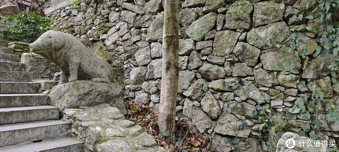 雁荡山/观音洞游记攻略民宿/住宿餐饮/十二生肖雕塑/山涧的庙宇看起来怎么样？爬山经验