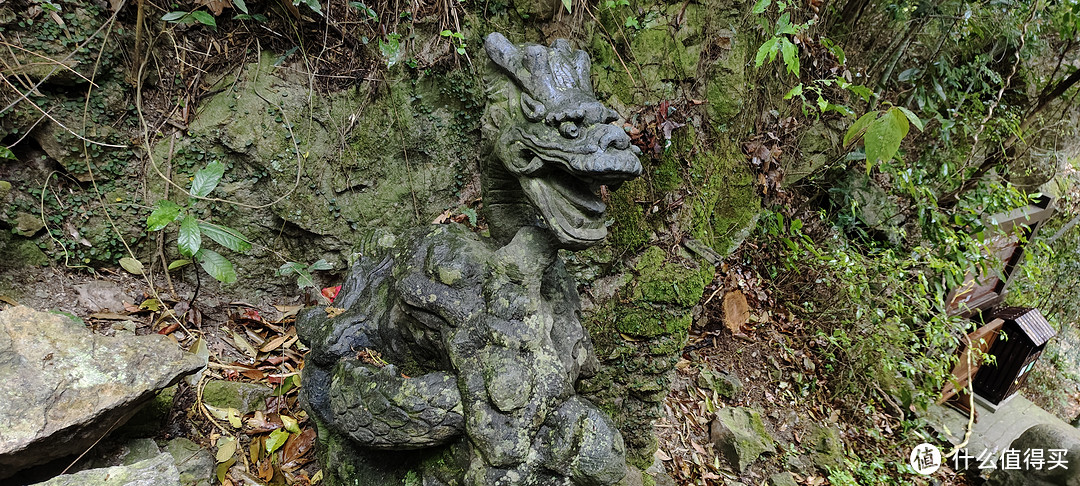 雁荡山/观音洞游记攻略民宿/住宿餐饮/十二生肖雕塑/山涧的庙宇看起来怎么样？爬山经验