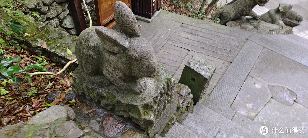 雁荡山/观音洞游记攻略民宿/住宿餐饮/十二生肖雕塑/山涧的庙宇看起来怎么样？爬山经验