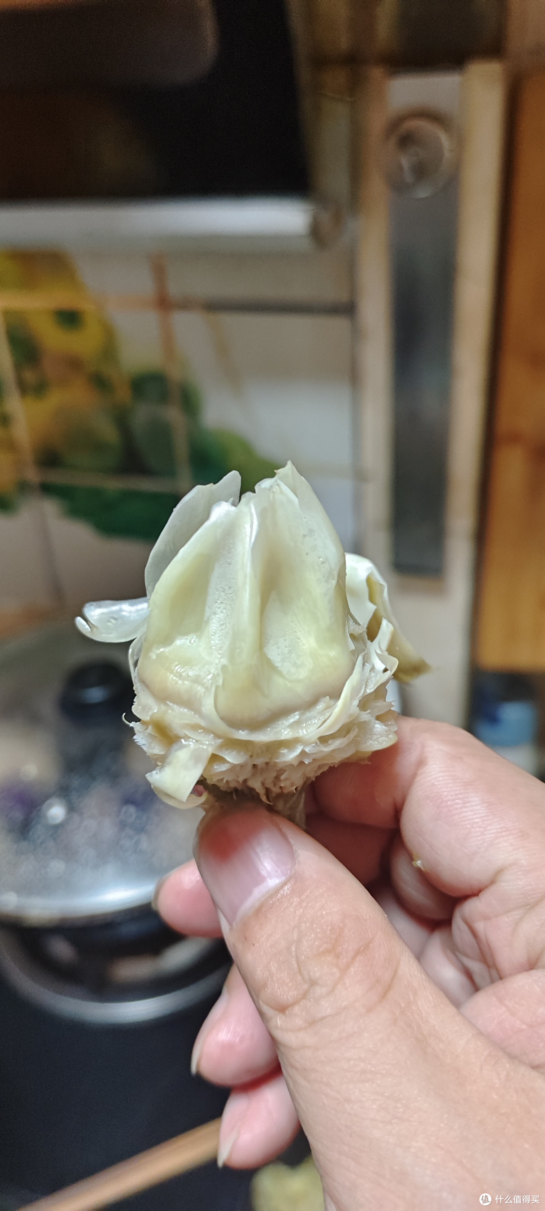 法国名贵菜~洋蓟/网红蔬菜水果/新鲜应季蔬菜现摘百迷你朝鲜蓟网红蔬菜批发云南/大头葱