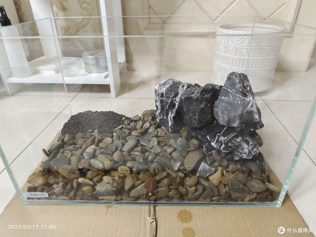 入门草缸——100元打造水陆造景