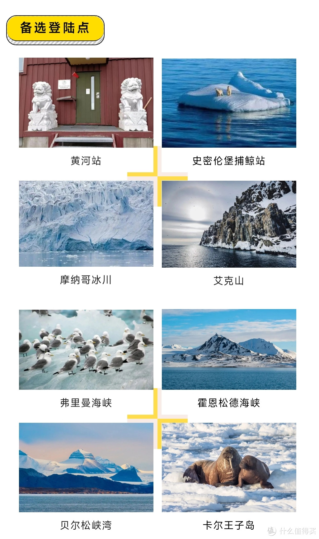 如果有机会,你会去北极吗?你准备好了吗?