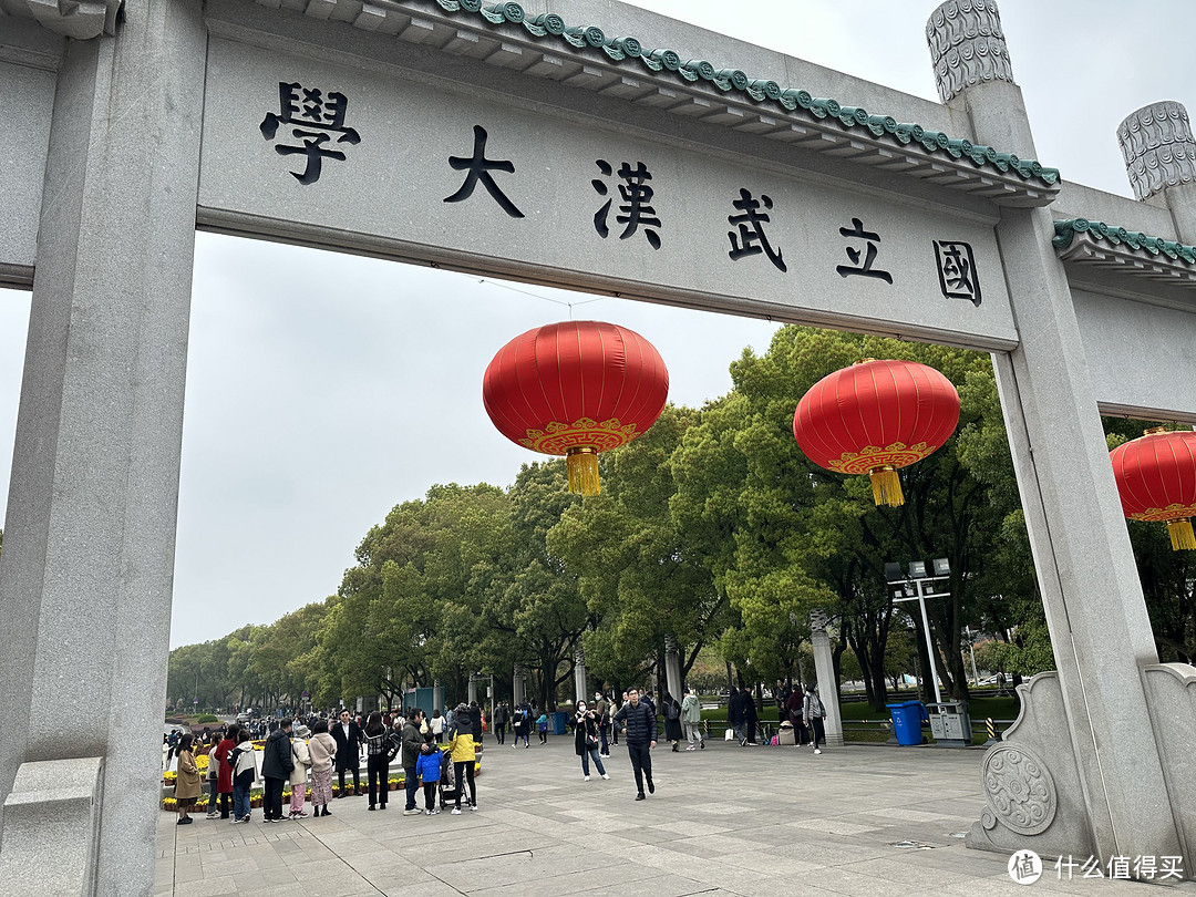 樱花季——武汉南京无锡平坝